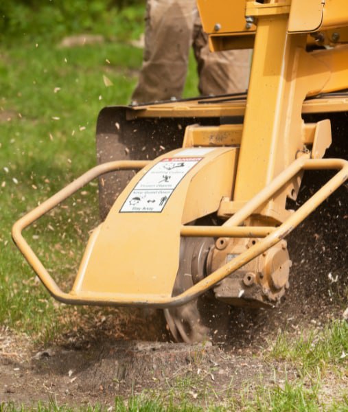 This is a photo of stump grinding being carried out in Hawkhurst. All works are being undertaken by Hawkhurst Tree Surgeons